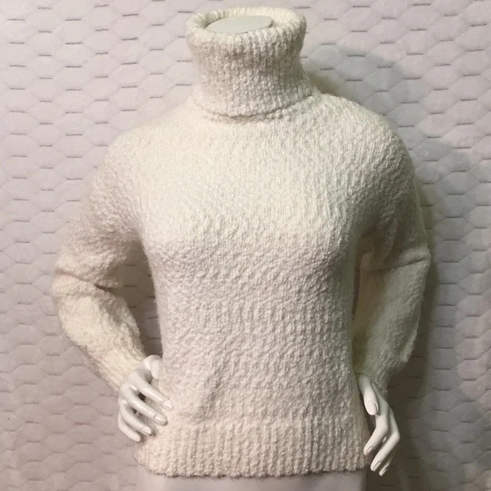 Ecru Plush Turtle Neck Sweater in Size XS